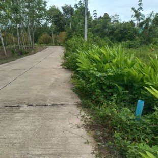 ทดสอบ